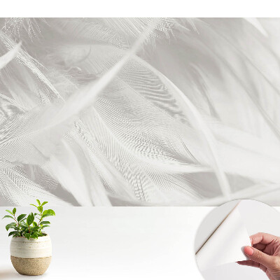 Luxusná tapeta Nadýchané biele perie