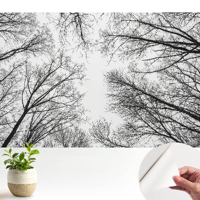 Tapeta do obývačky Čiernobiele zimné stromy