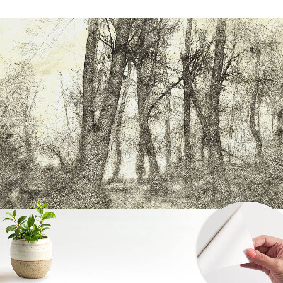 Tapeta do obývačky s motívom atmosférickej lesnej krajiny