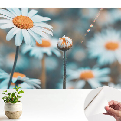 Samolepiace tapety na stenu s jemným vzorom harmančeka evokujúceho pokoj