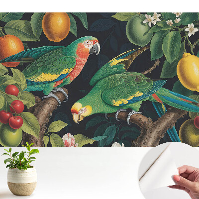 Tapeta do obývačky Exotický motív s papagájmi a ovocím