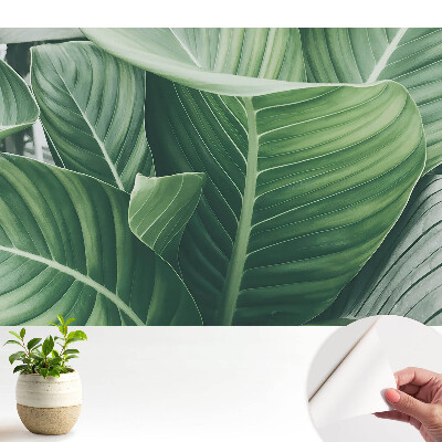 Luxusná tapeta s motívom zelených listov evokujúcich prírodu a harmóniu v modernom štýle