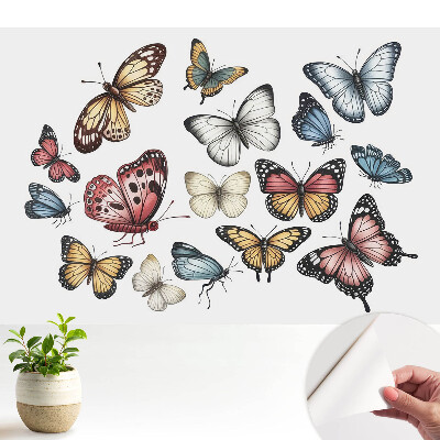 Tapeta Farebné motýle roztrúsené harmonicky