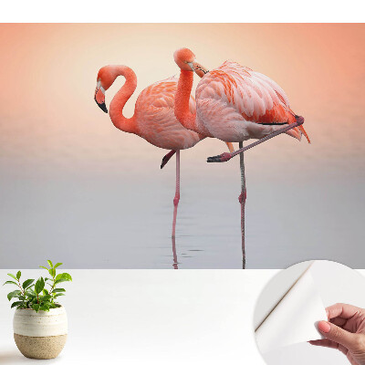 Tapety na stenu samolepiace Plameniaky na pastelovom pozadí