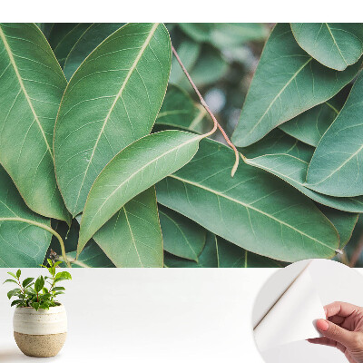 Tapeta Harmónia v minimalistickom štýle so zelenými listami