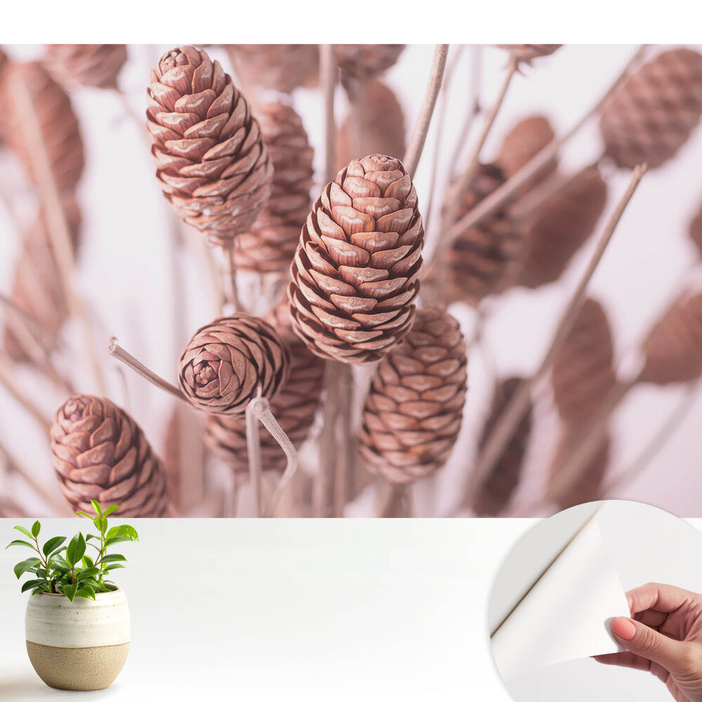 Tapety na stenu samolepiace Šišky v rustikálnom štýle