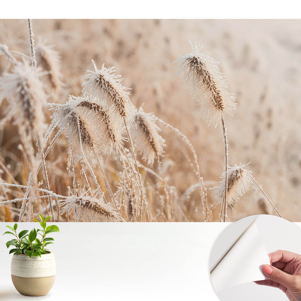 Tapety na stenu samolepiace Mráz na tráve zimná krása príroda