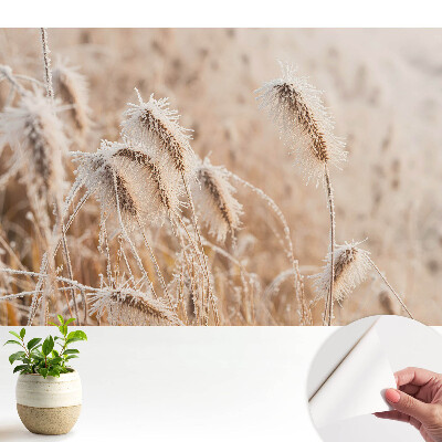 Tapeta na stenu samolepiaca s motívom mrazu na tráve zobrazujúca zimnú krásu prírody