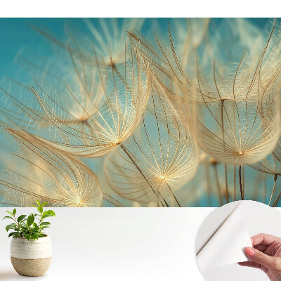 Tapeta Jemnosť prírody, harmonický vzor, ​​krehkosť