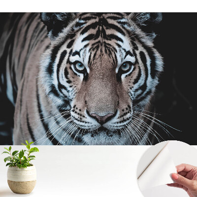 Tapeta Dynamická kompozícia magnetizujúceho tigra