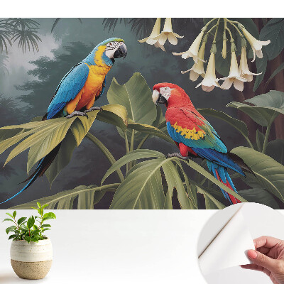Tapeta Tropické papagáje, exotické farby