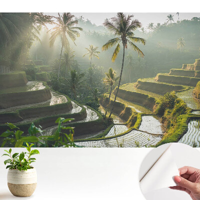 Tapeta s motívom exotických ryžových terás medzi palmami