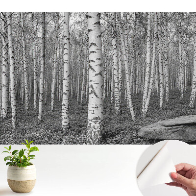 Luxusná tapeta s motívom brezového lesa evokujúca pokoj prírody a harmóniu