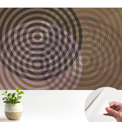 Tapeta do obývačky Sústredné kruhy retro moderný
