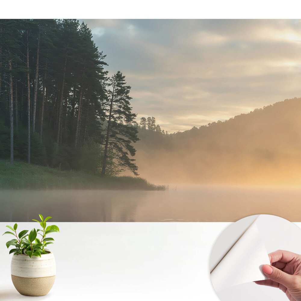 Tapeta Hmlistá krajina ráno