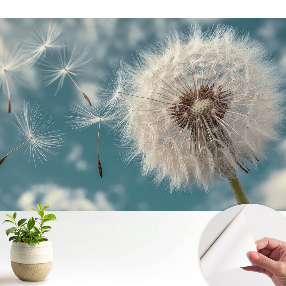 Tapety na stenu samolepiace Púpava vo vetre