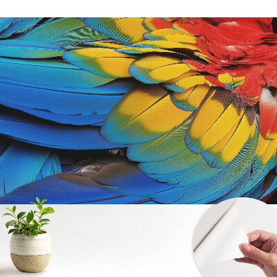 Luxusná tapeta Energická mozaika farebných pierok