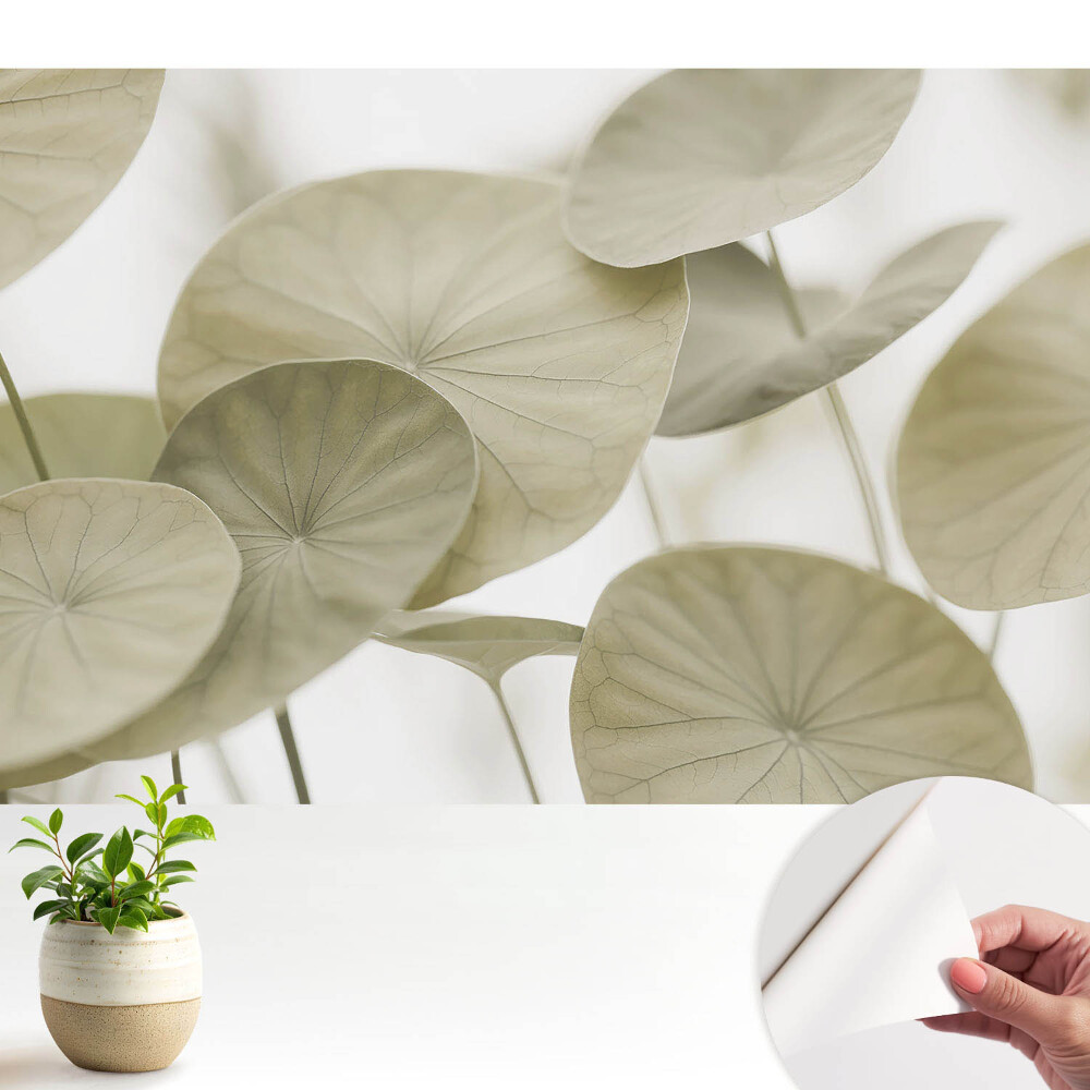 Tapety na stenu samolepiace Listy v minimalistickom štýle