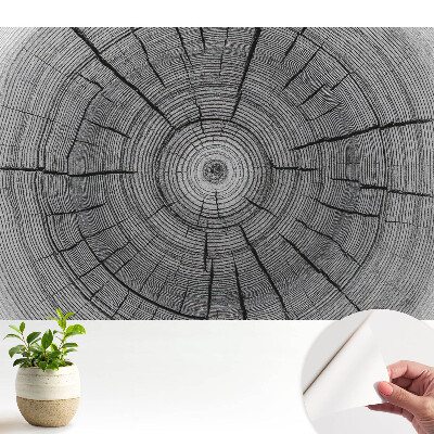 Tapeta Symetrické zloženie drevených kruhov