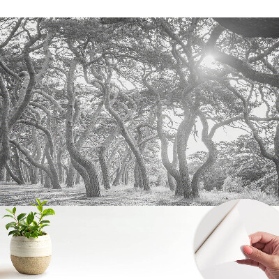 Luxusná tapeta Tajomný, klasický les