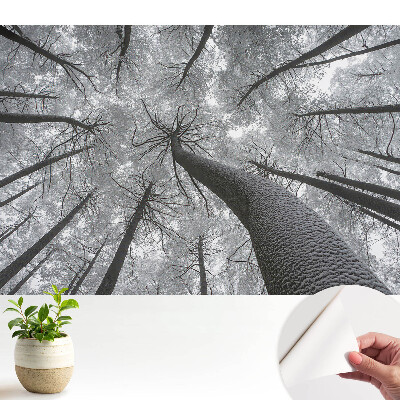 Luxusná tapeta so vzorom zimného lesa odspodu