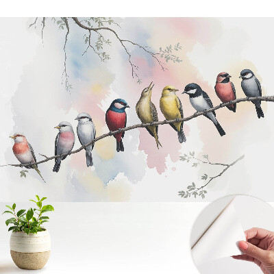 Tapeta na stenu samolepiaca s motívom farebných vtákov na konári