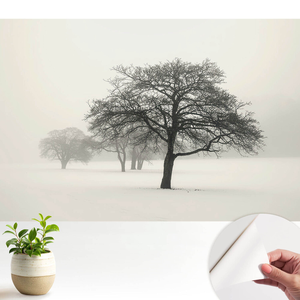 Tapeta Stromy v hmle v zimnej krajine