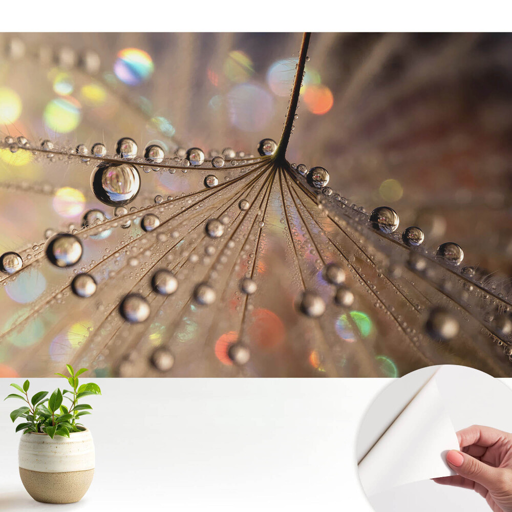 Tapeta Jemná štruktúra kvapiek roztrúsených na pozadí