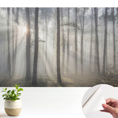 Tapeta na stenu samolepiaca s motívom ranného pokojného lesa medzi stromami