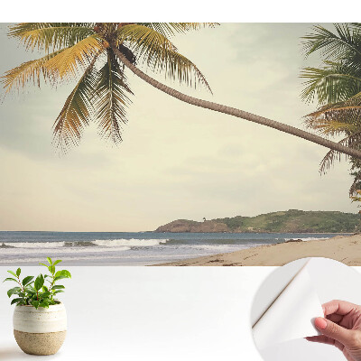 Luxusná tapeta Palma a exotická pláž