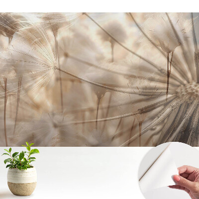 Luxusná tapeta Éterické púpavy v dizajne Harmónia prírody