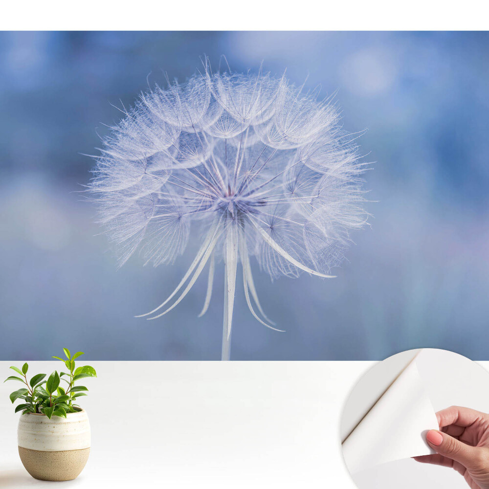 Tapeta do obývačky Púpava v modrých tónoch