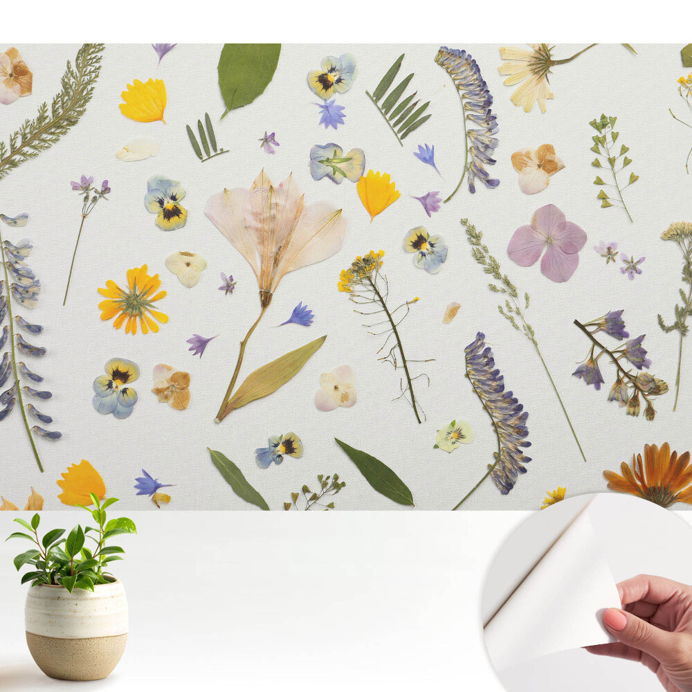 Tapety na stenu samolepiace Sušené kvety na bielom plátne