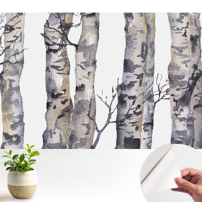 Luxusná tapeta Sivé osikové kmene v akvareloch