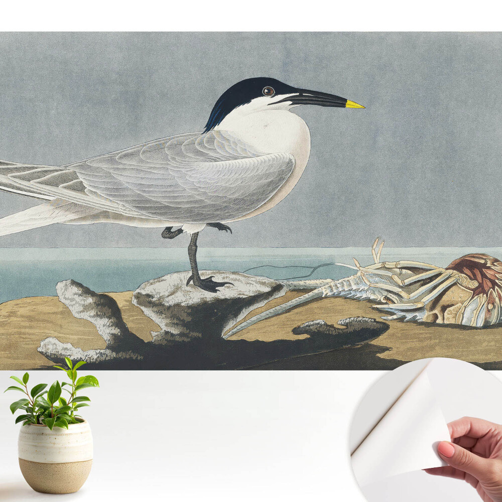 Luxusná tapeta Elegantný vták na pozadí mora