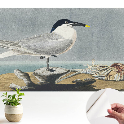 Luxusná tapeta Elegantný vták na pozadí mora