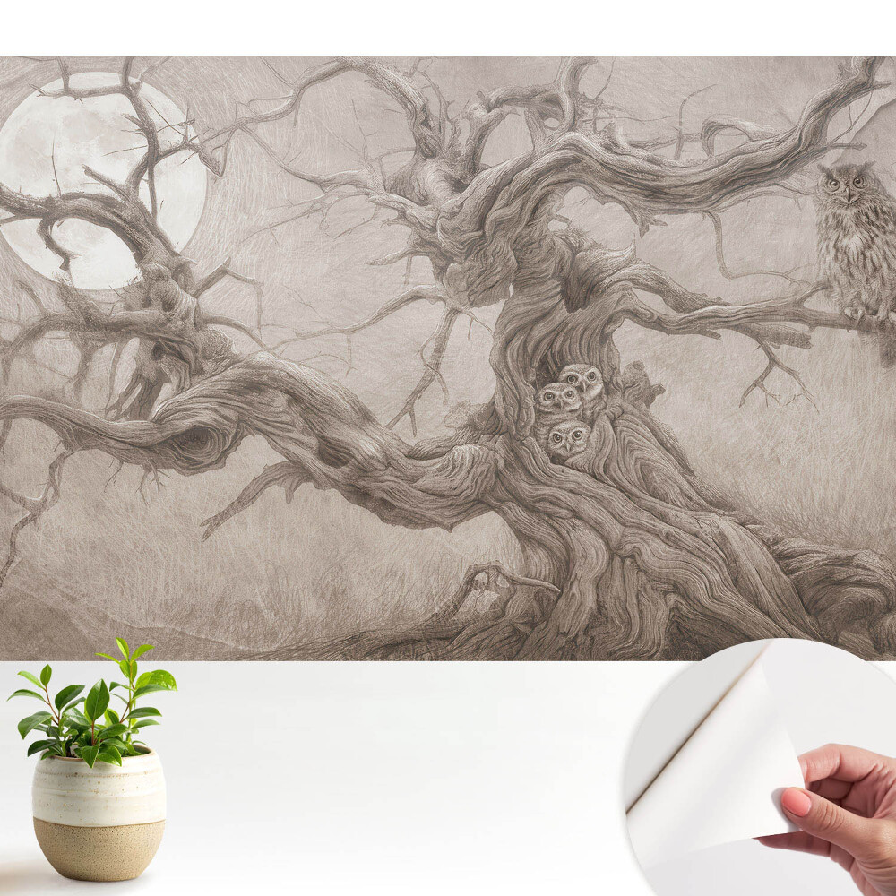 Tapety na stenu samolepiace Mesačný dub so sovami