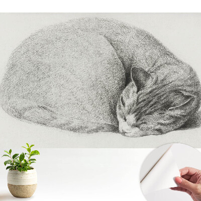 Luxusná tapeta s realistickým motívom spiacej mačky