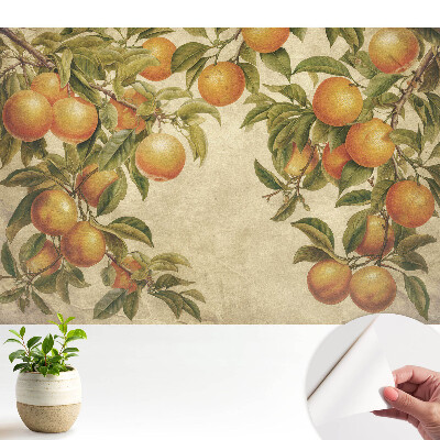Tapeta na stenu samolepiaca s jemným motívom konárov a citrusových plodov