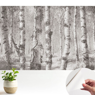 Tapeta s motívom brezy v klasickom lese