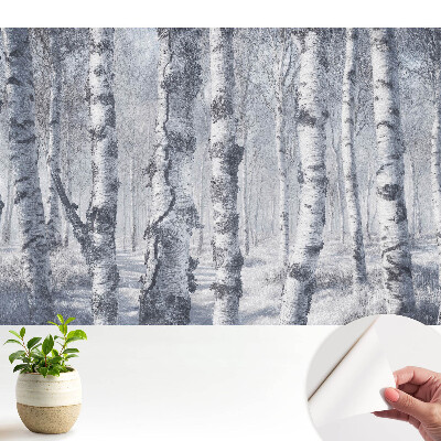 Tapeta do obývačky so zimným motívom brezy