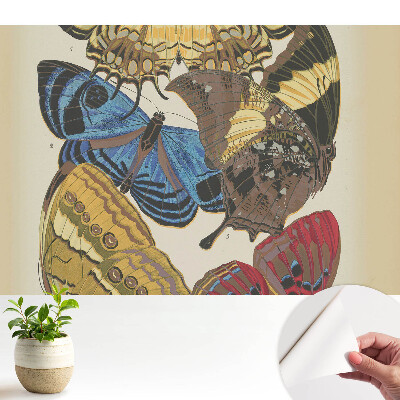 Tapeta na stenu samolepiaca s farebnými motýľmi v elegantnej kompozícii