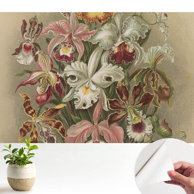 Luxusná tapeta Harmónia prírody s exotickými kvetmi