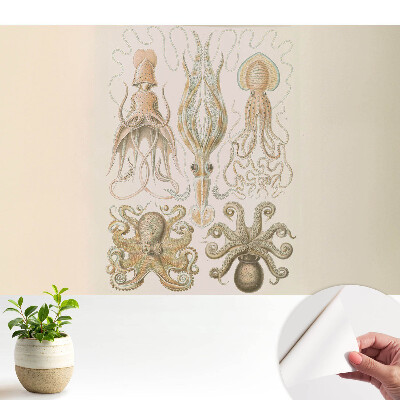 Tapety na stenu samolepiace Harmónia detailov morských hlavonožcov