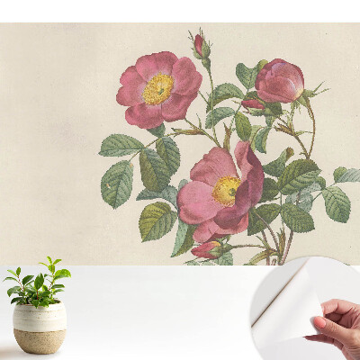 Tapeta do obývačky s motívom divokých ruží v klasickej kompozícii
