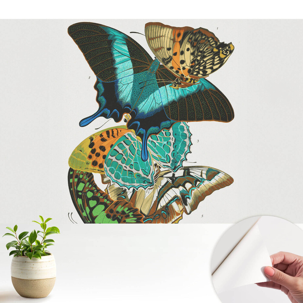 Tapeta Farebné motýle klasická harmonická kompozícia