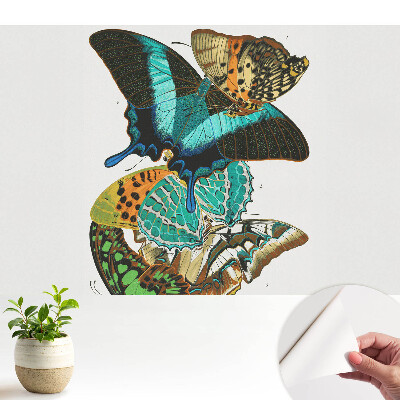 Tapeta s farebnými motýľmi v klasickej harmonickej kompozícii