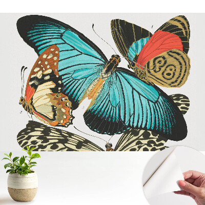 Tapeta do obývačky Farebné motýle v klasickom štýle