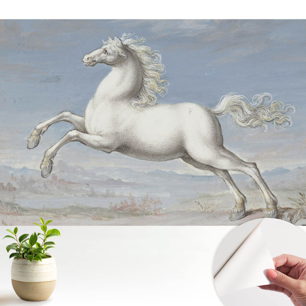 Tapety na stenu samolepiace Biely kôň v dynamickom skoku