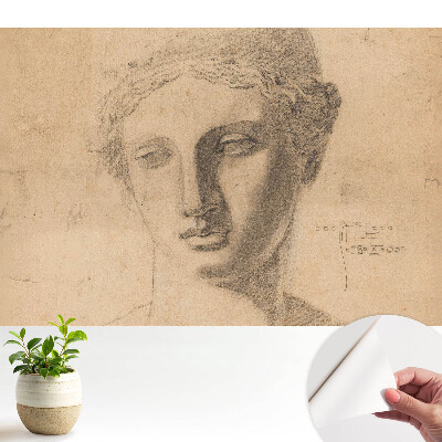 Tapeta do obývačky Klasická grafika ženskej tváre